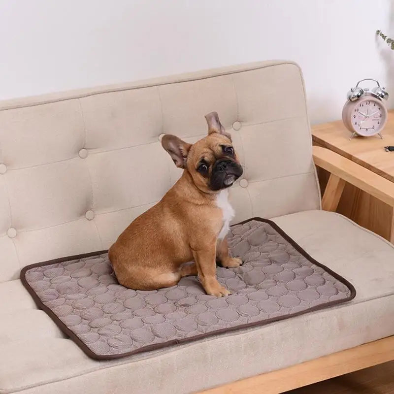 Tapete Refrescante para Cães e Gatos – Cama de Verão Respirável e Lavável para Casa, Sofá e Automóvel**