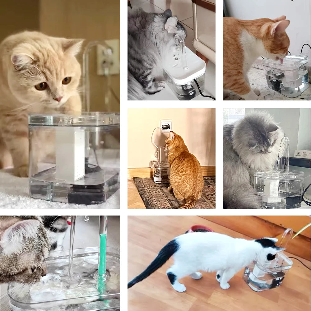 Fonte de Água Automática Transparente para Cães e Gatos – Bebedouro USB com Filtro e Bomba Ultra Silenciosa**